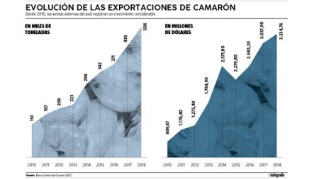 Ecuador reinicia ventas de camarón a Brasil